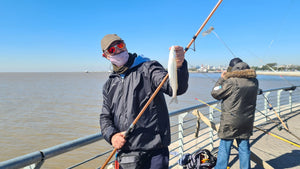 La costanera rinde