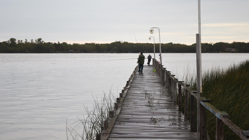 Pejerreyes en el Paraná Guazú desde muelles