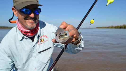 Un rey entre los peces: El Pejerrey