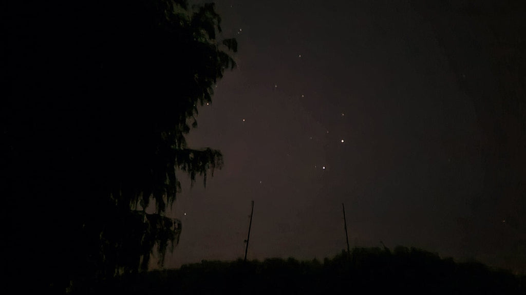 Tarariras de la noche