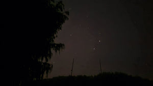 Tarariras de la noche