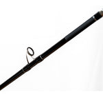 Caña Pesca EXAGE SURF Casting 4.25m