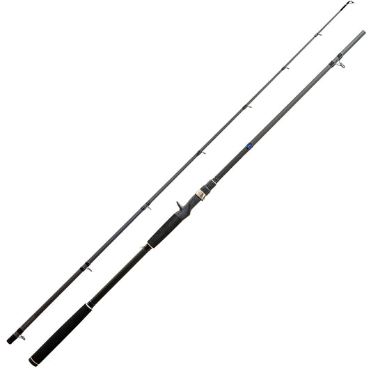 Caña EXAGE XAC100XH 3m 2T Pesca Bait 20-50lb