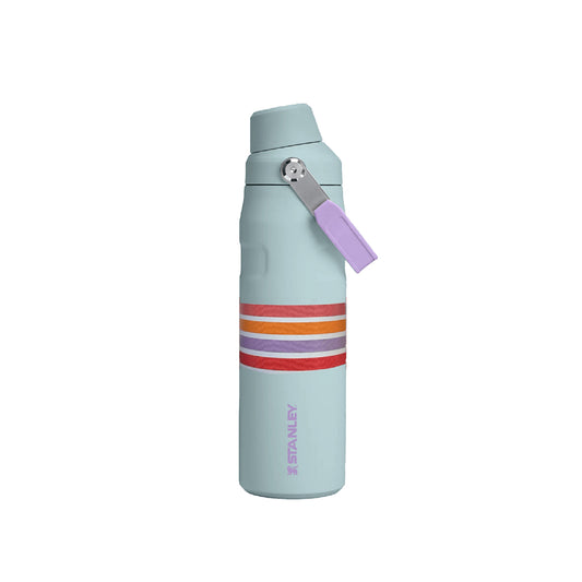 Botella Térmica Iceflow Aerolight 710 ml Estampados