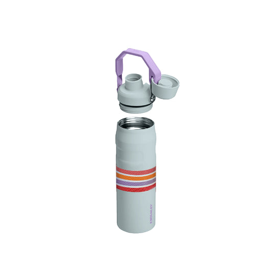 Botella Térmica Iceflow Aerolight 710 ml Estampados