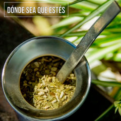 Mate Explorer 273ml