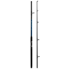 Caña 2.10m Variant