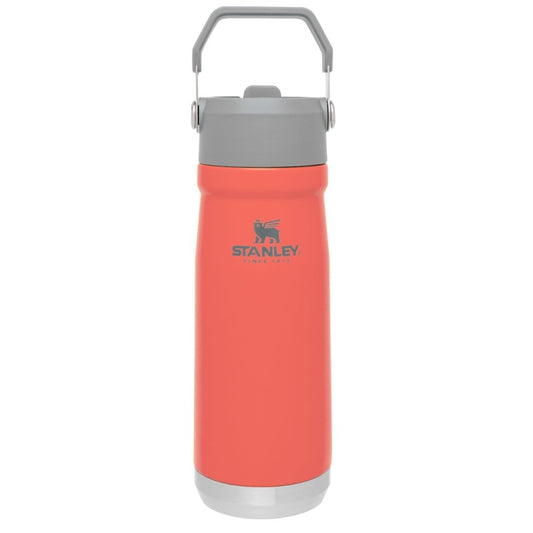 Botella Flip Straw 500 Ml. Coral