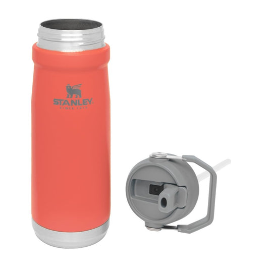 Botella Flip Straw 500 Ml. Coral