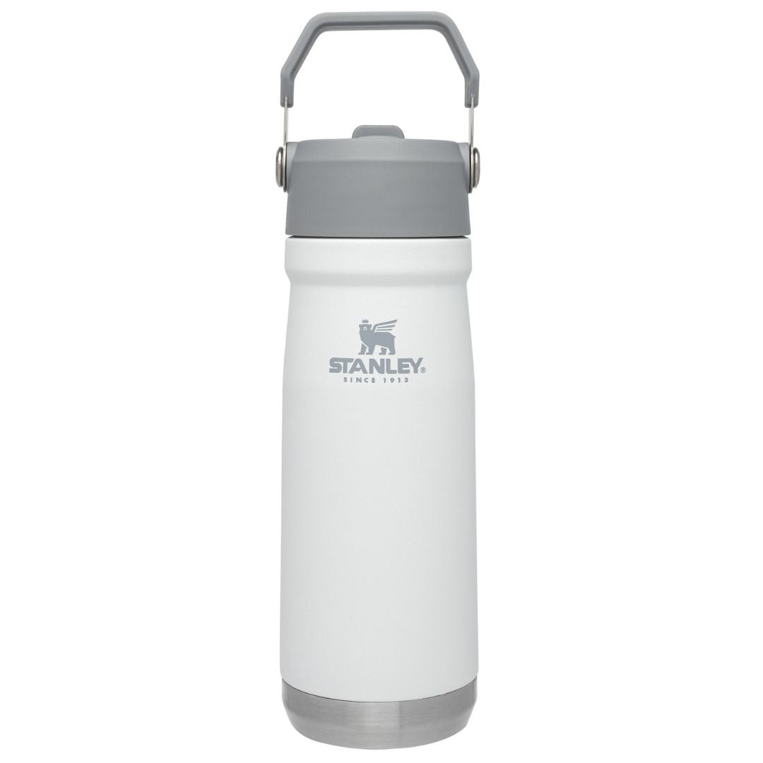 Botella Flip Straw 500 Ml. Polar