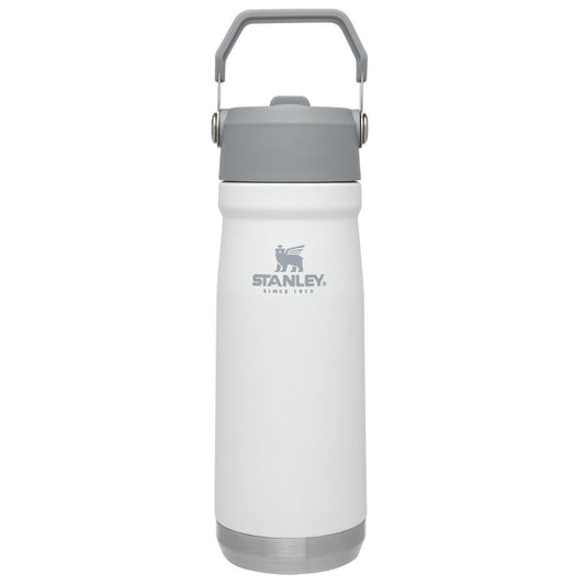 Botella Flip Straw 500 Ml. Polar