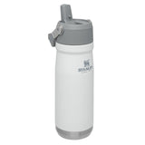 Botella Flip Straw 500 Ml. Polar