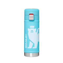 Botella Termica FLOWSTEADY 500 ml