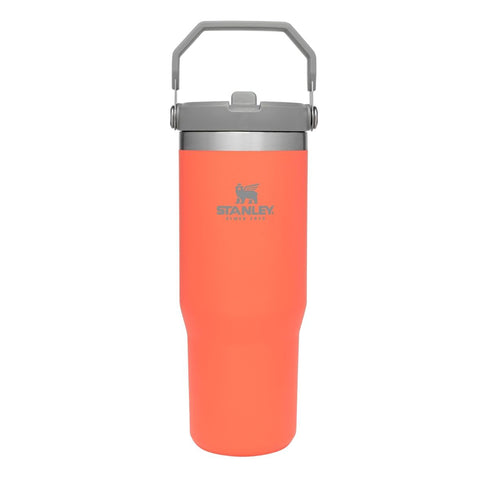 Vaso Flip Straw 887 Ml. Coral