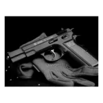 Pistola Co2 75B GBB FM 4.5mm Aire comprimido - Imagen 3