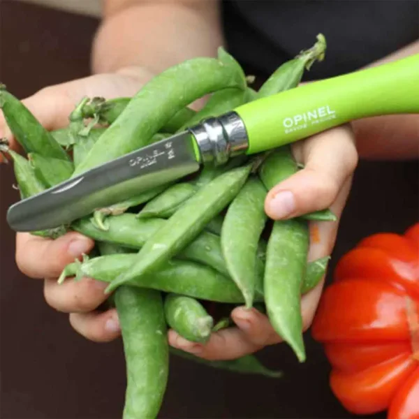 Cuchillo navaja N°07 Junior - Imagen 2