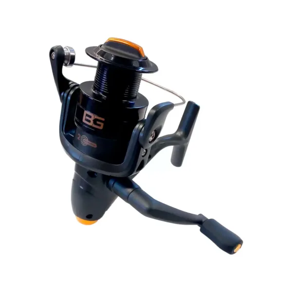 Reel Bg 40 Fd - Imagen 1