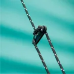 Carpa Family Dome Sunterra EXR4 - Imagen 3