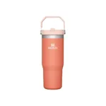 Botella Térmica STANLEY Flip Straw sorbete 887 Ml - Imagen 5