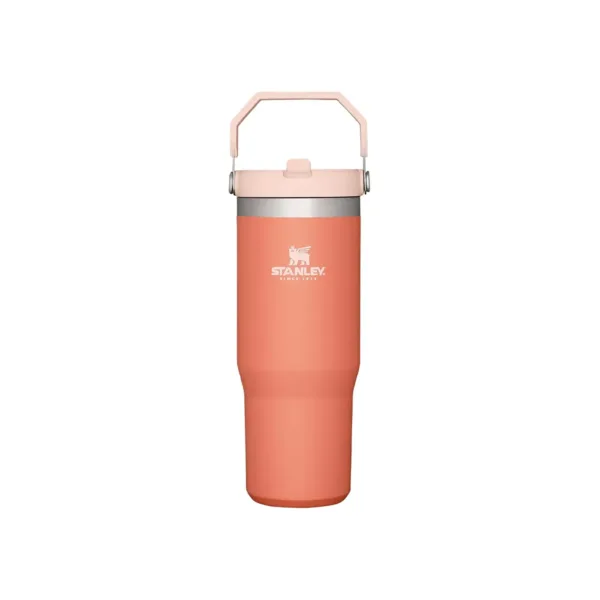 Botella Térmica STANLEY Flip Straw sorbete 887 Ml - Imagen 5