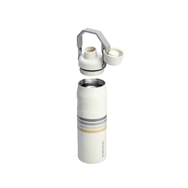 Botella Térmica Iceflow Aerolight 710 ml Estampados - Imagen 7