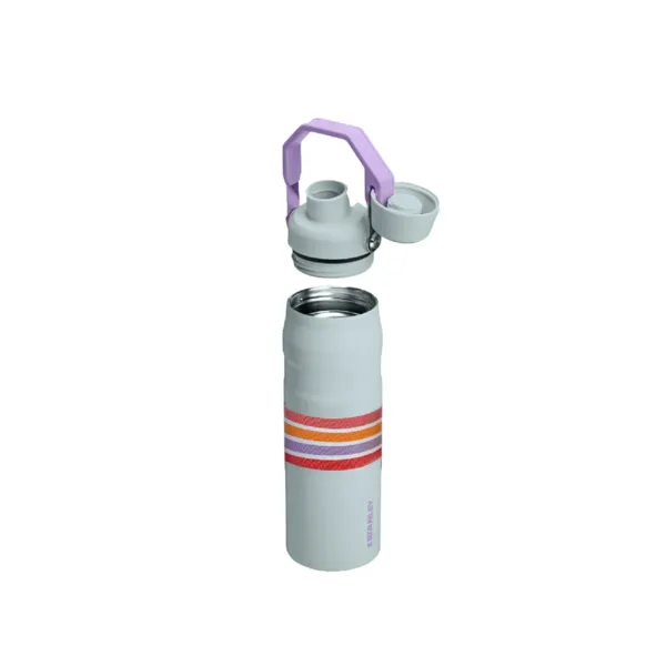Botella Térmica Iceflow Aerolight 710 ml Estampados - Imagen 2