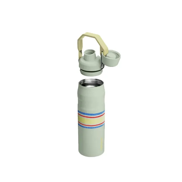 Botella Térmica Iceflow Aerolight 710 ml Estampados - Imagen 14