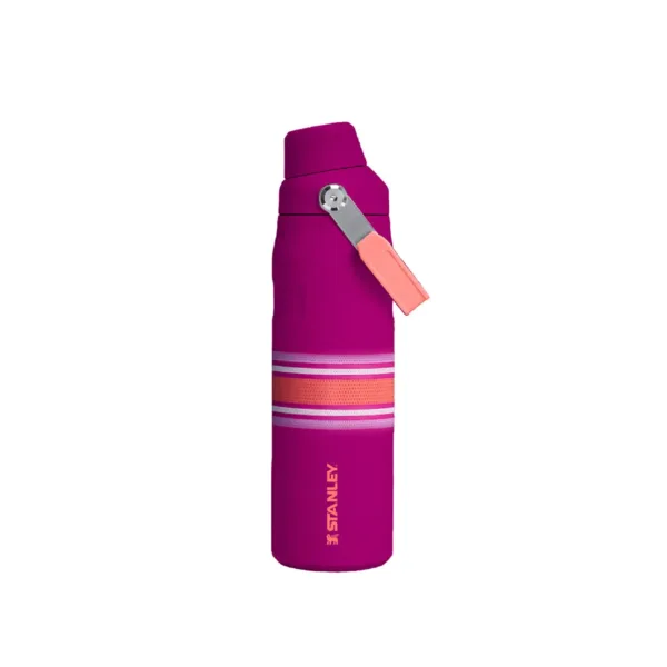 Botella Térmica Iceflow Aerolight 710 ml Estampados - Imagen 17