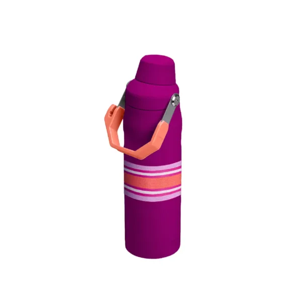 Botella Térmica Iceflow Aerolight 710 ml Estampados - Imagen 19