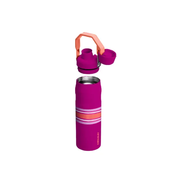 Botella Térmica Iceflow Aerolight 710 ml Estampados - Imagen 18