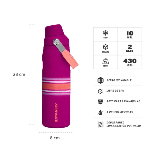 Botella Térmica Iceflow Aerolight 710 ml Estampados - Imagen 20