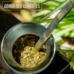 Mate Explorer 273ml - Imagen 6