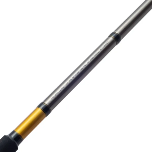 Caña 3.05 m FX 2T 6-12lb Spinning - Imagen 2