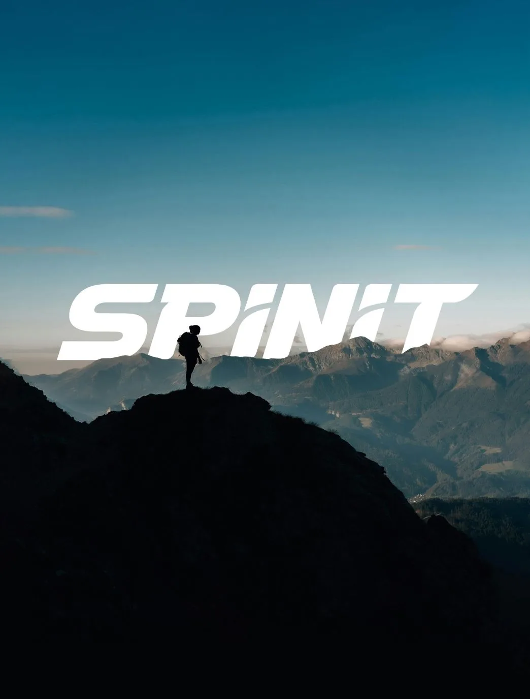 Campaña Spinit