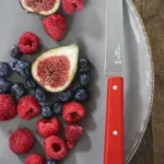 Cuchillo de mesa Bon Appetit rojo - Imagen 2