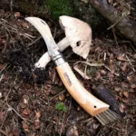 Cuchillo para hongos Nº 8 acero inoxidable - Imagen 3