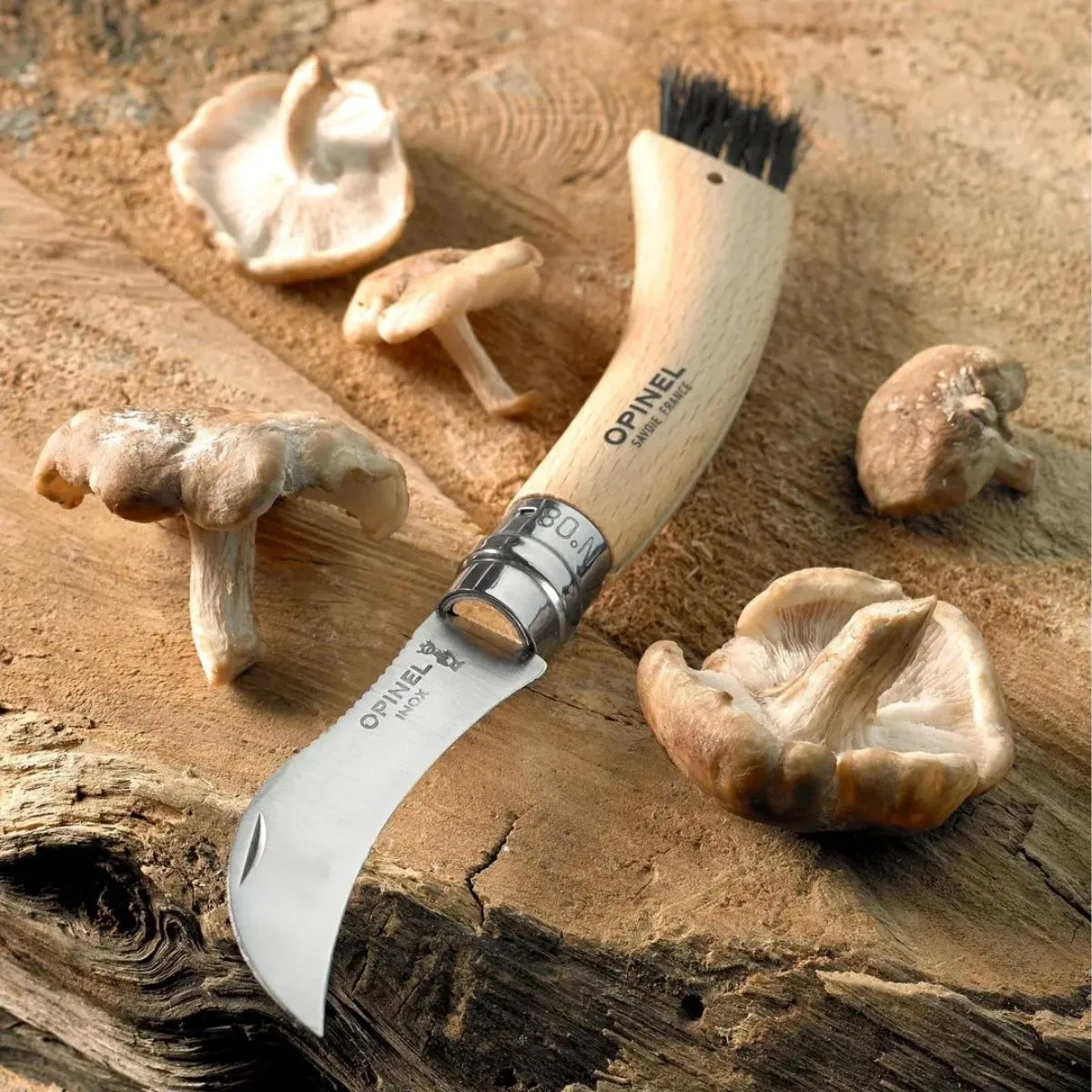 cuchillo-plegable-hongos-acero-opinel-opa1552b809-03 Cuchillo para hongos Nº 8 acero inoxidable - Imagen 1