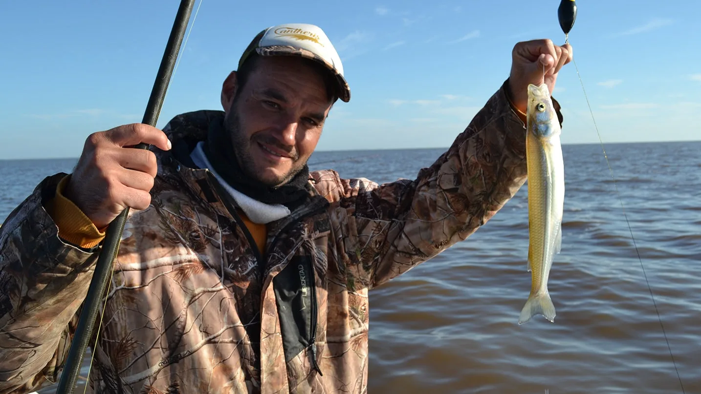 Del Uruguay al Guazú