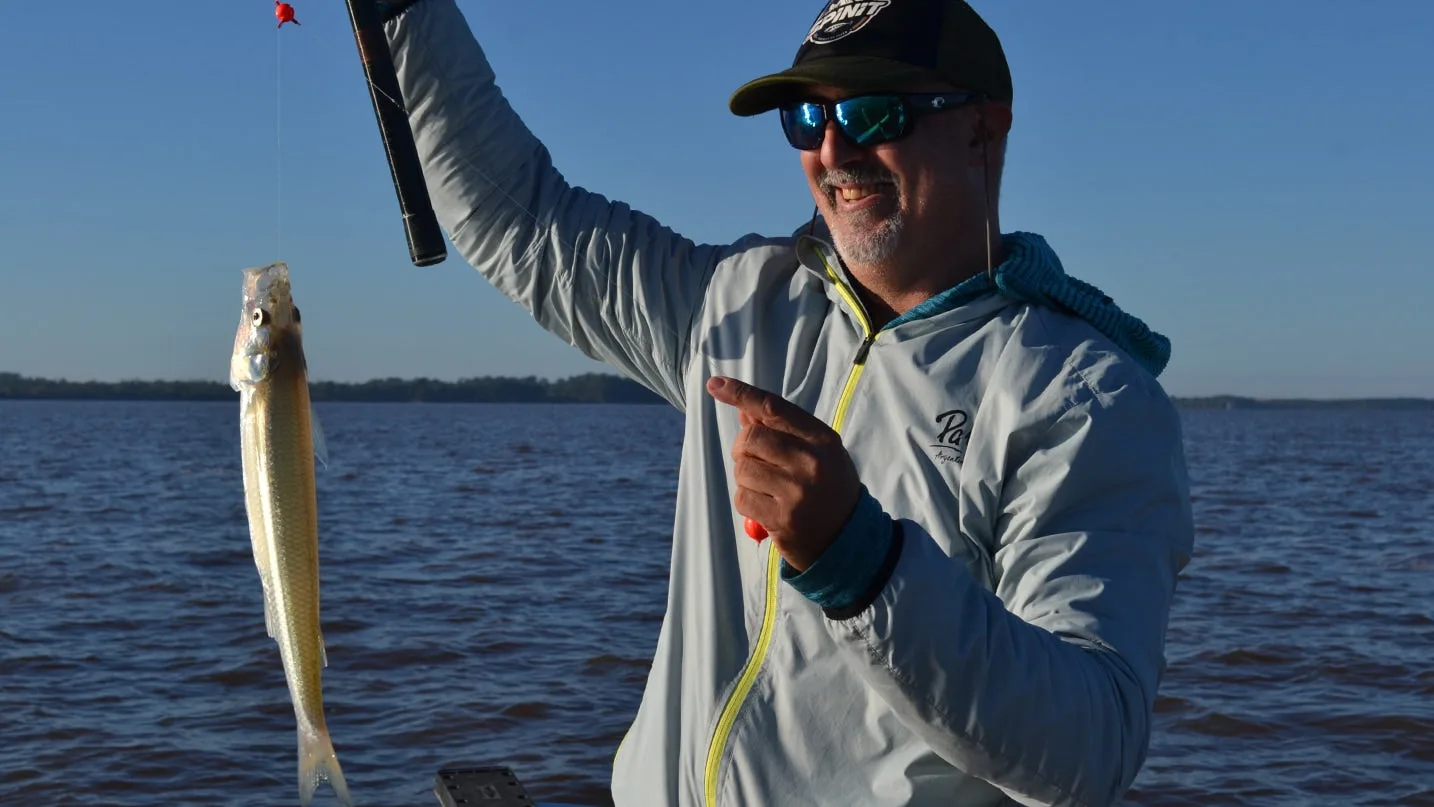 Del Uruguay al Guazú