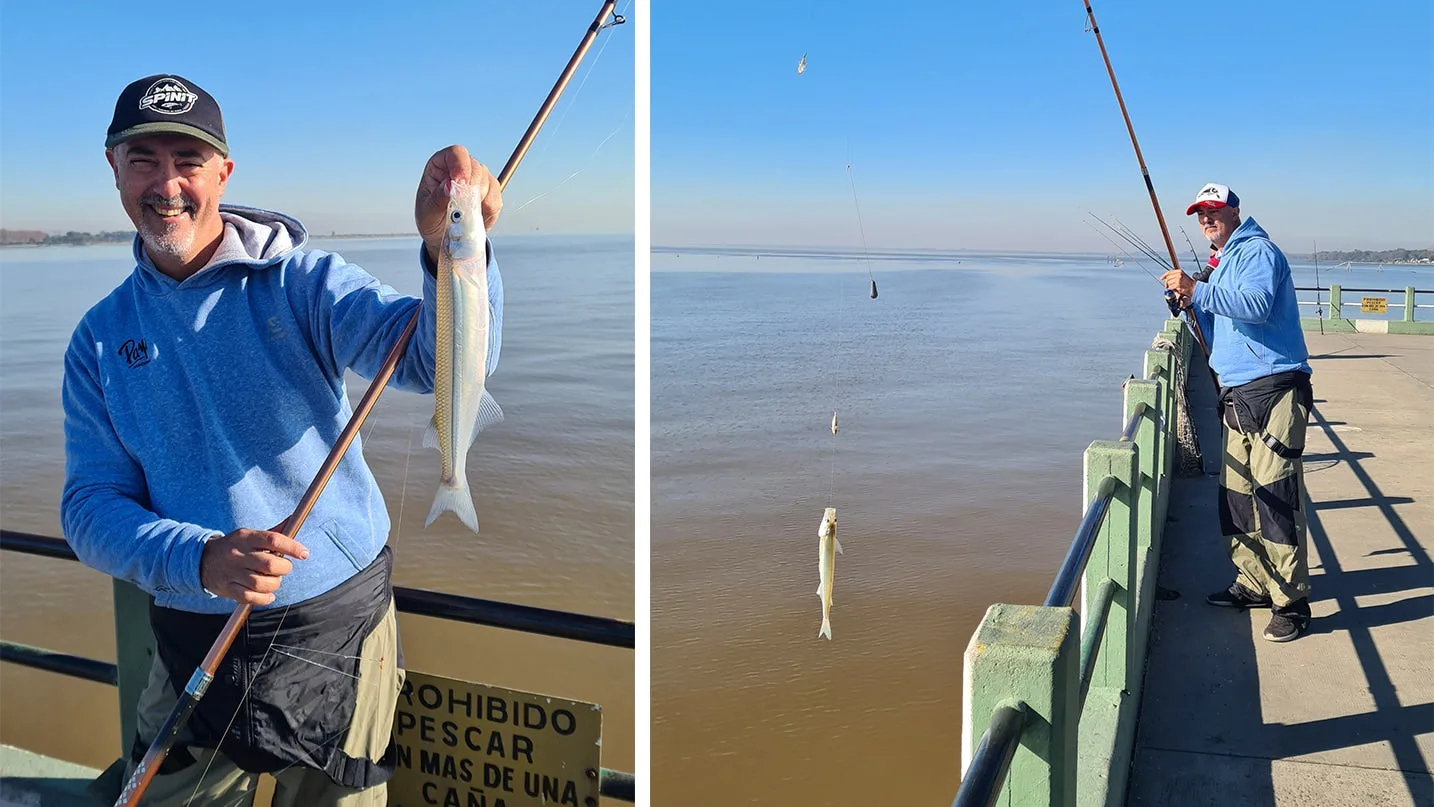 Pejes a fondo en el Pejerrey Club