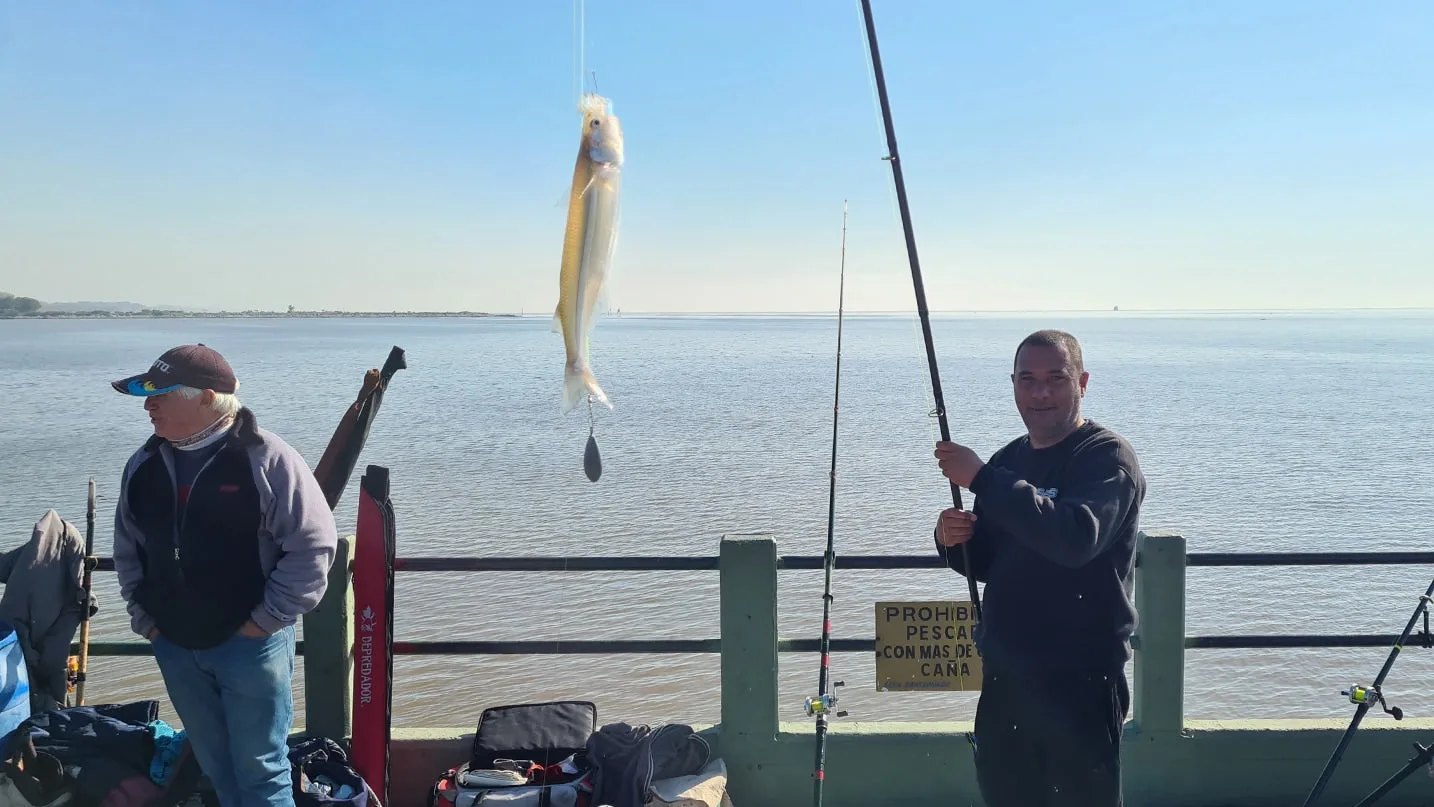 Pejes a fondo en el Pejerrey Club