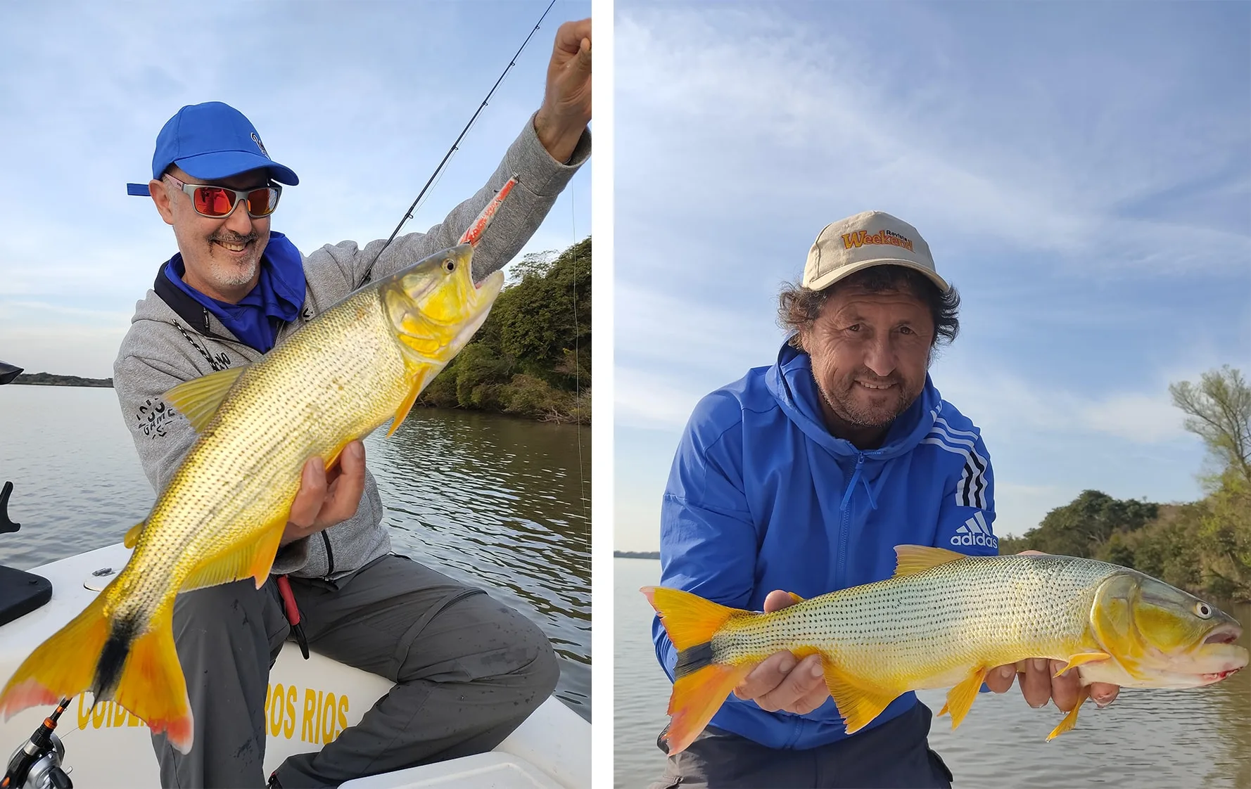 Concepción a puro dorado