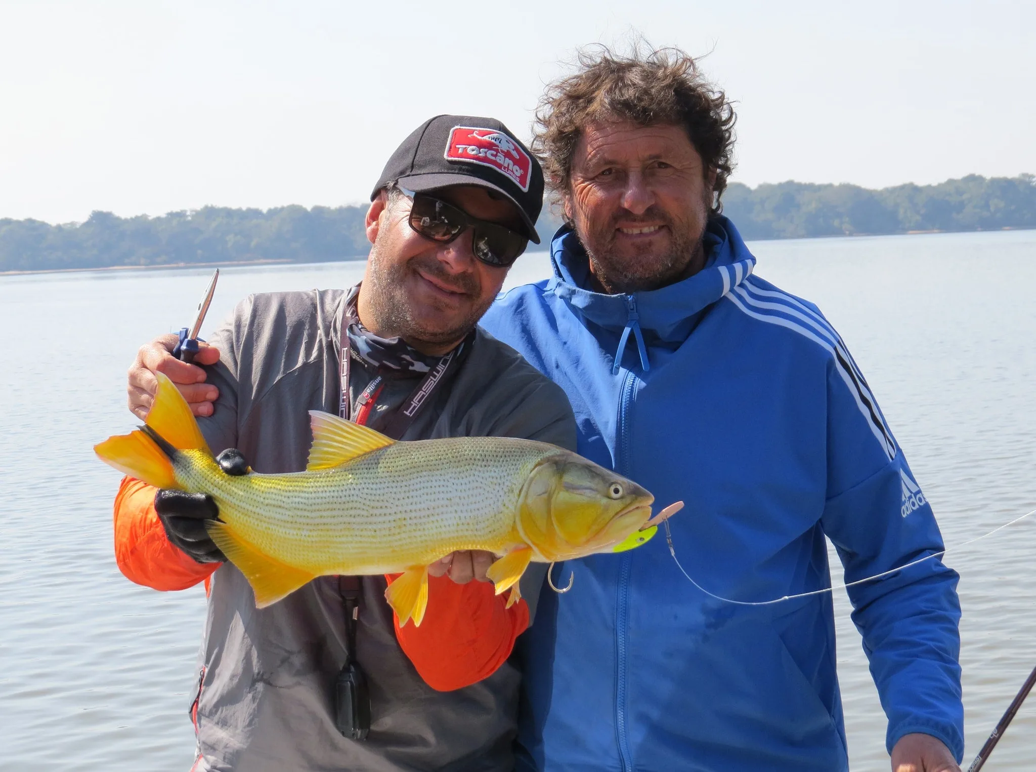 Concepción a puro dorado