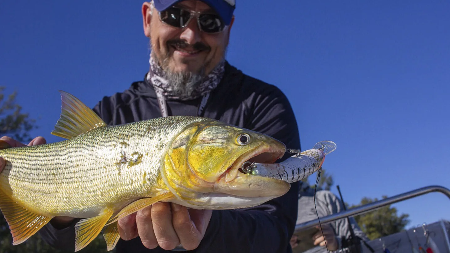 Spinning y bait en el río Uruguay