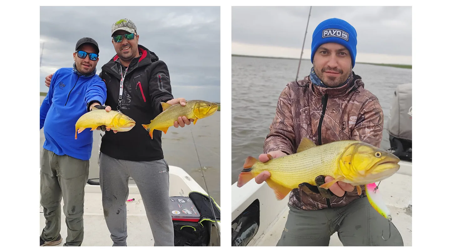 Victoria explota de peces dorados