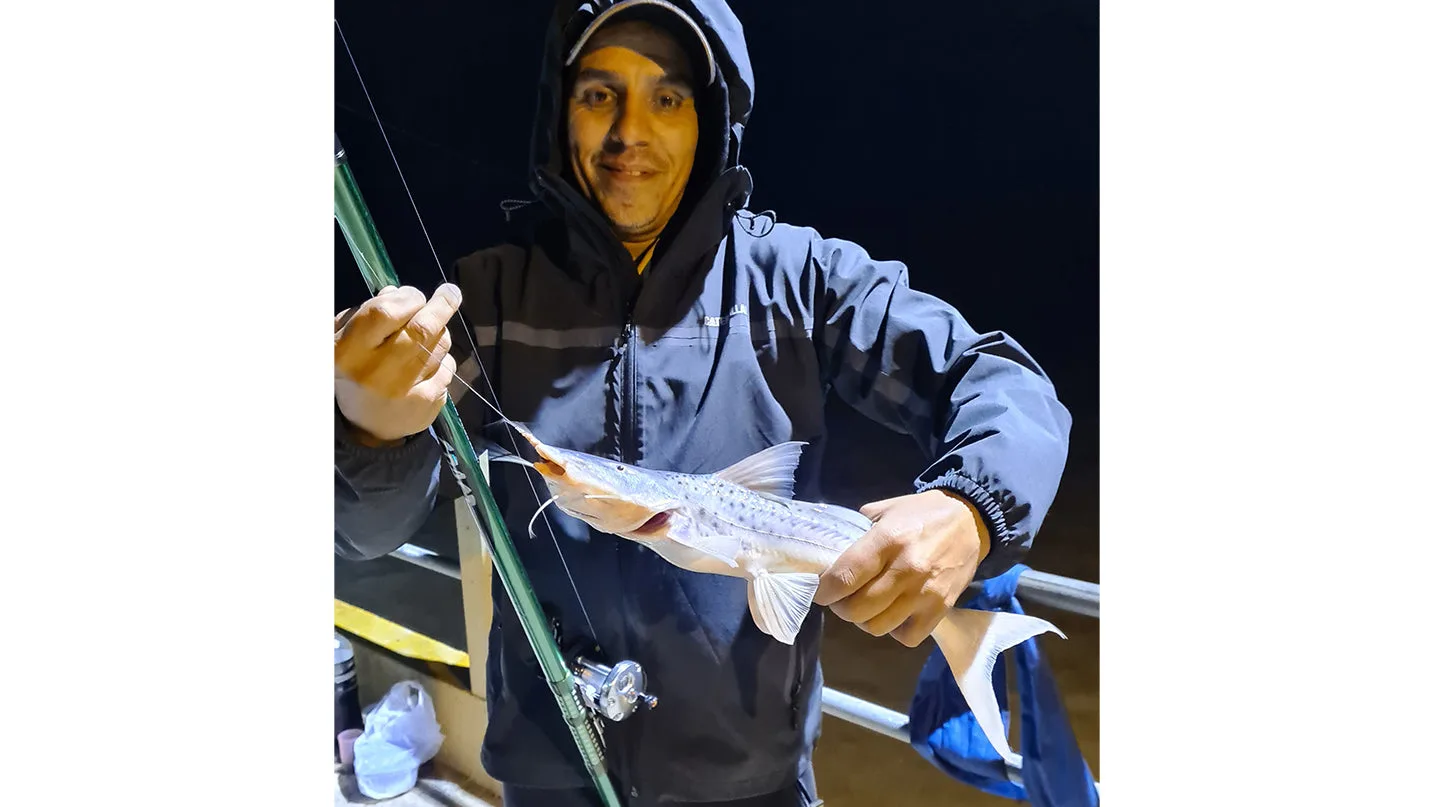 Pejerreyes nocturnos en Olivos