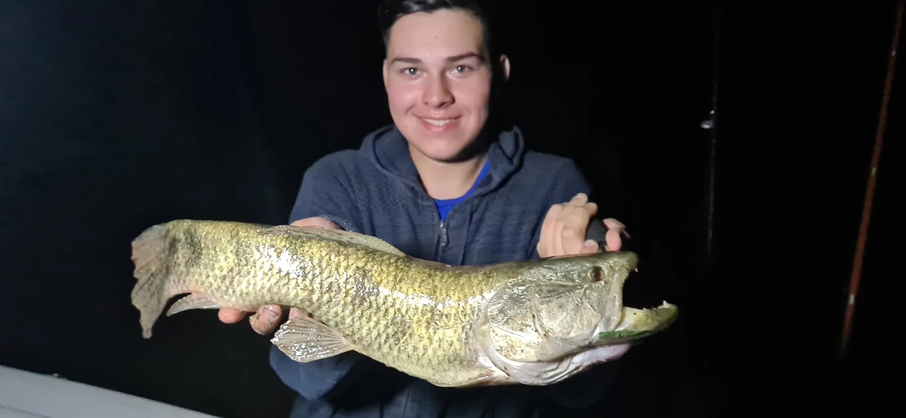 Tararias de la noche