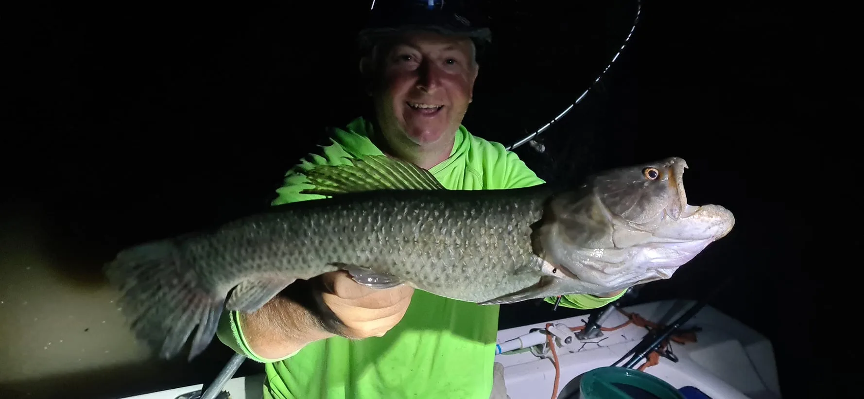 Tararias de la noche